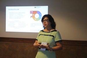 CLAQ 2022: Minicurso destaca importância da Química verde e desenvolvimento sustentável