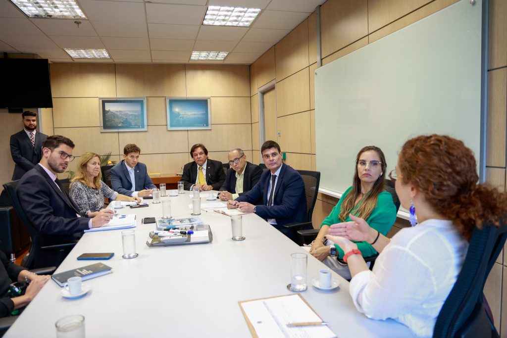 CRIG participa de audiência com Ministério do Meio Ambiente: profissionais da Química pleiteiam espaço no Conama