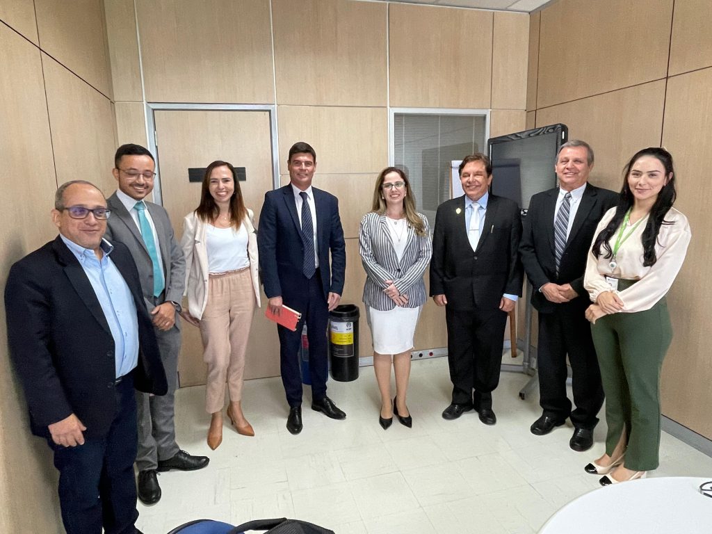 Em nova reunião com Ministério do Meio Ambiente, Sistema CFQ/CRQs avança por termo de cooperação