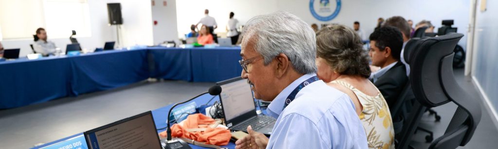Comitês e Comissões do CFQ fazem apresentação e balanço de suas atividades ao plenário do Conselho