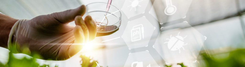 Para tudo acontece uma Química: Química na Agricultura