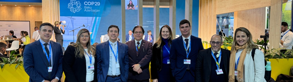 Sistema CFQ/CRQs reforça o papel da Química na COP 29 em Baku