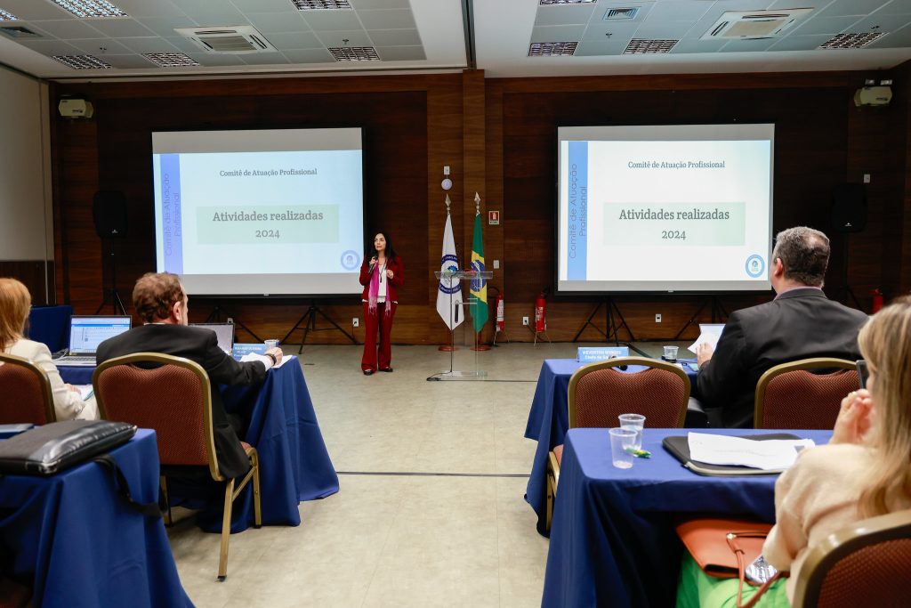 Sessão plenária de março conta com apresentação dos trabalhos de comitês e comissões e fortalece colegiados do CFQ