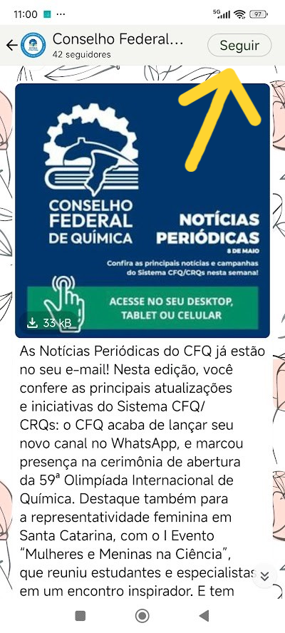 Imagem indicando com seta a posição do botão de seguir, no canto superior direito da tela do canal no Whatsapp.