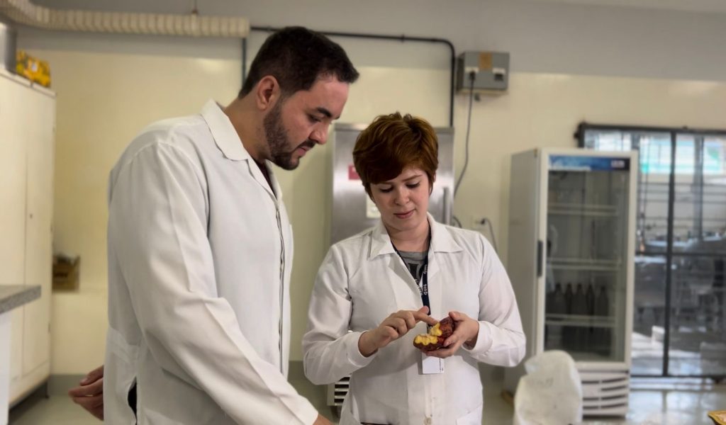 Chocolate sem gordura existe e é brasileiro