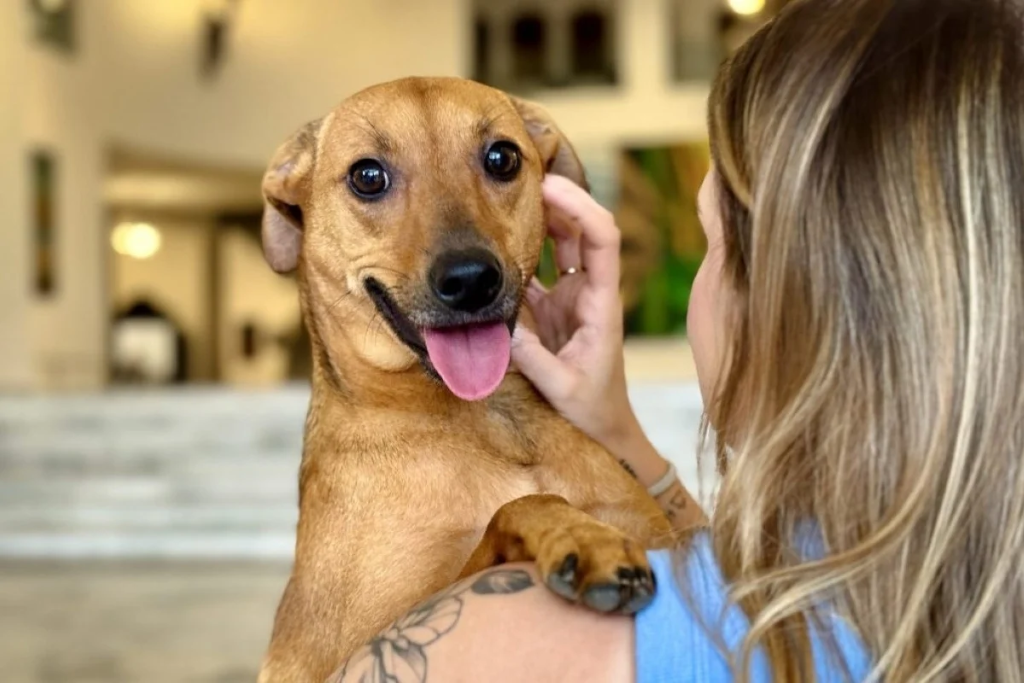 Ao Metrópoles, CFQ fala sobre os perigos dos produtos químicos para os PETS